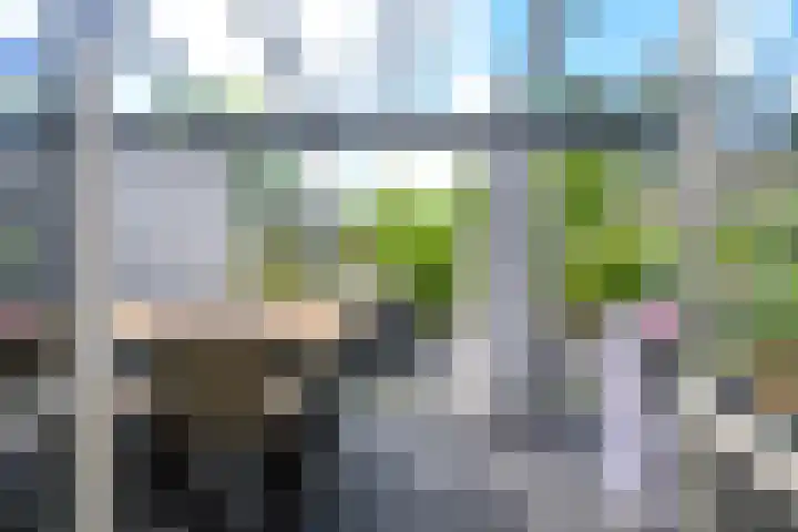 Binnenkruier 27 Stompetoren thumbnail 9