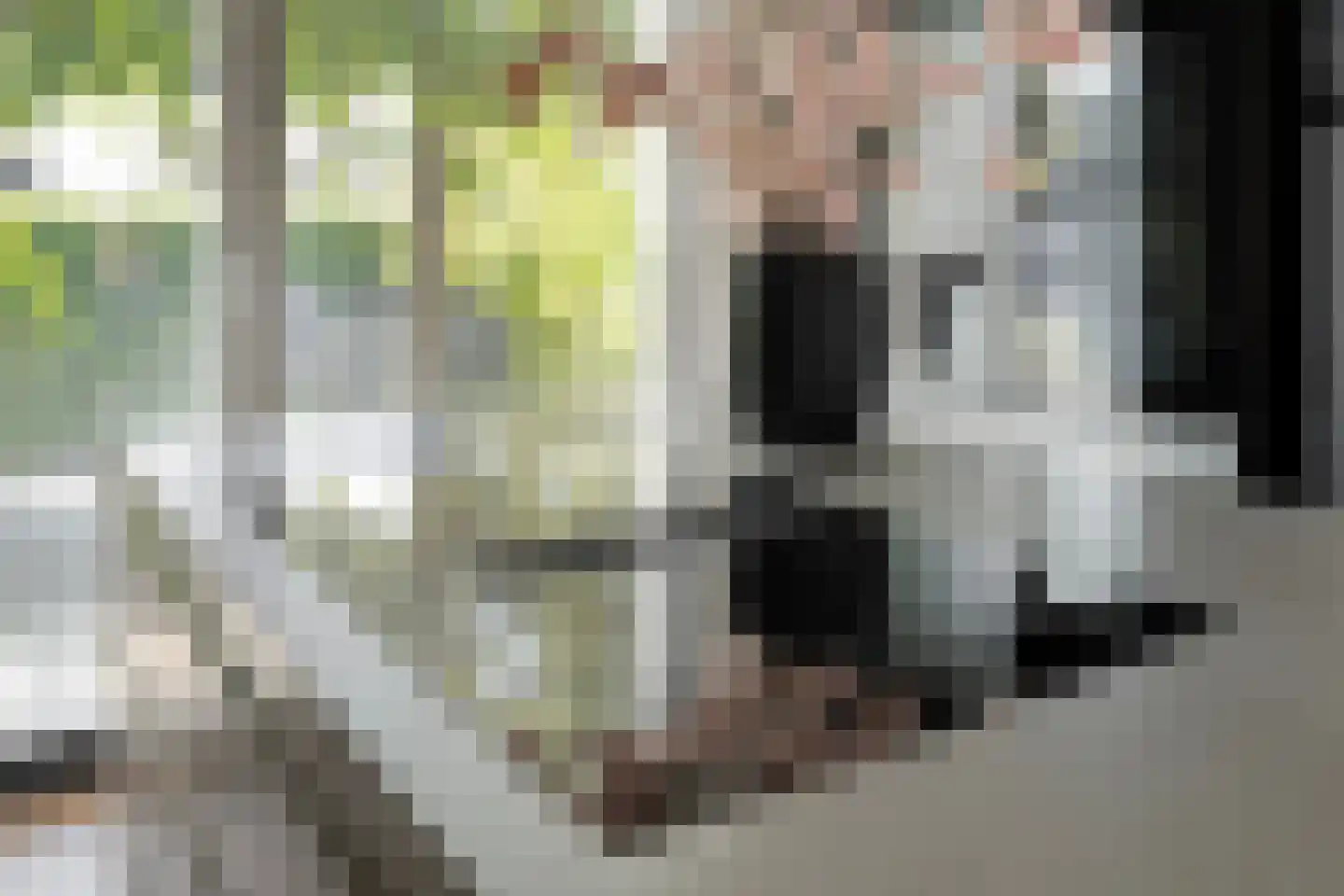 Binnenkruier 40 Stompetoren thumbnail 11