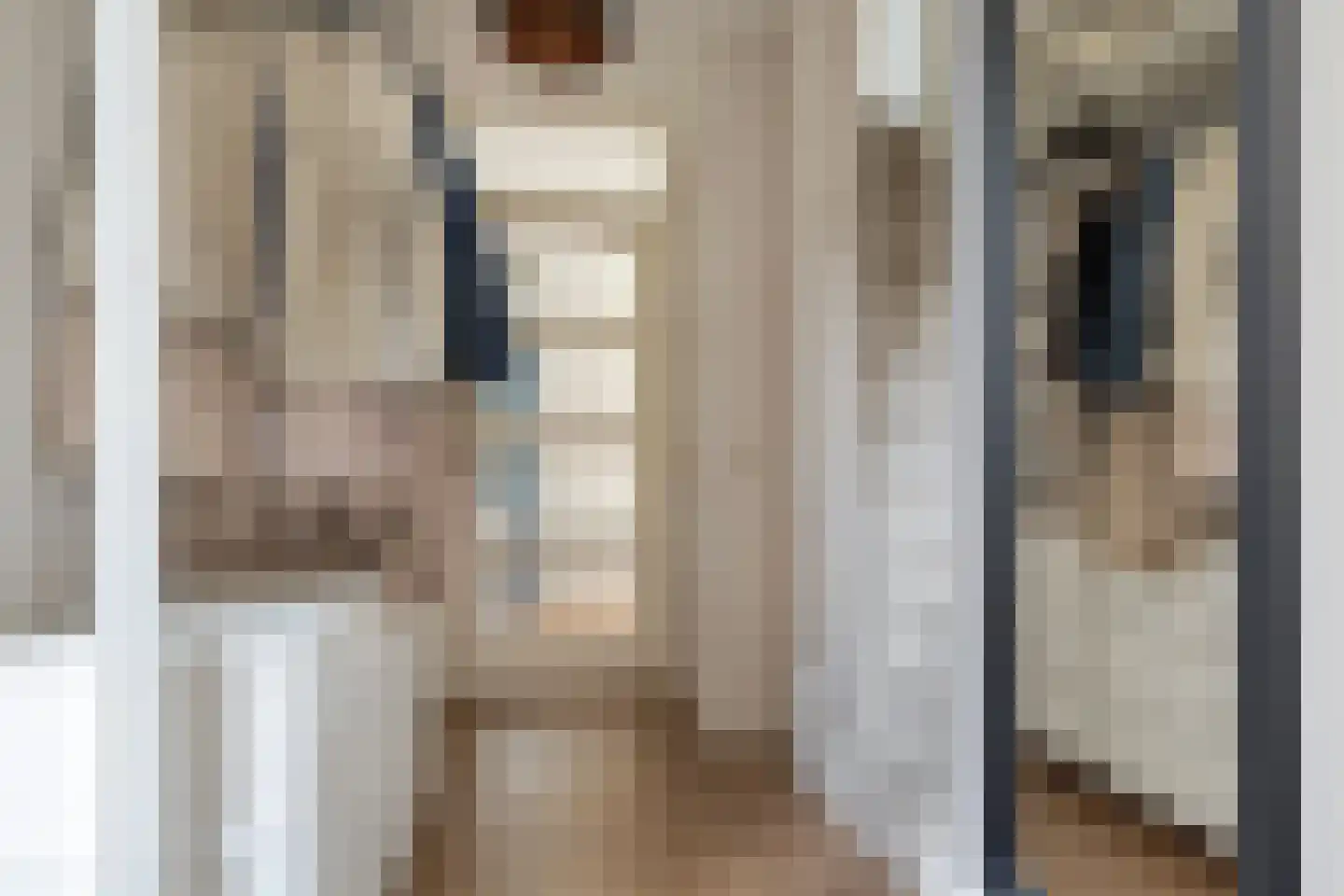 Binnenkruier 40 Stompetoren thumbnail 14