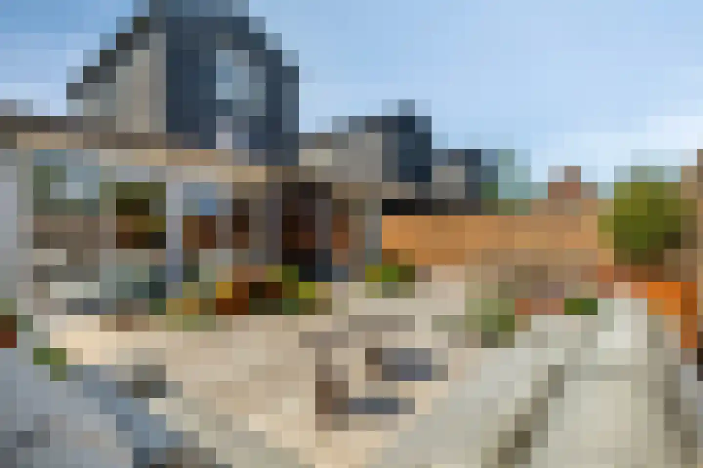 Binnenkruier 40 Stompetoren thumbnail 27