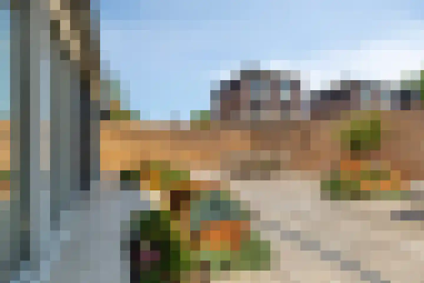 Binnenkruier 40 Stompetoren thumbnail 28