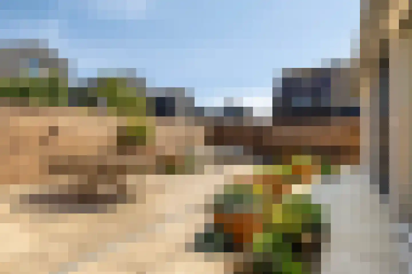 Binnenkruier 40 Stompetoren thumbnail 30