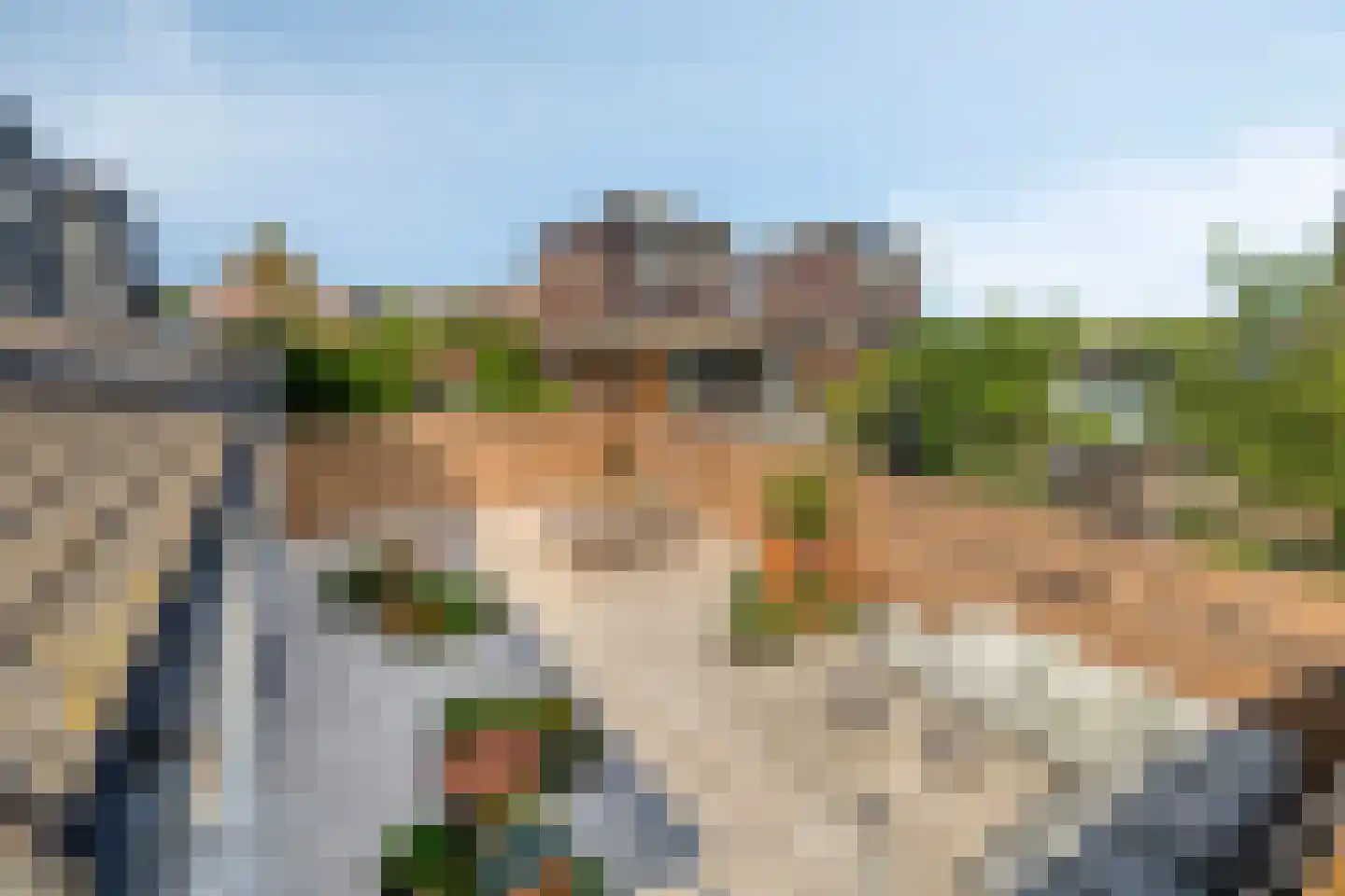 Binnenkruier 40 Stompetoren thumbnail 32