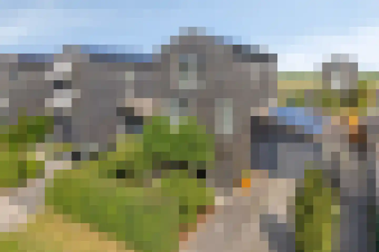 Binnenkruier 40 Stompetoren thumbnail 36