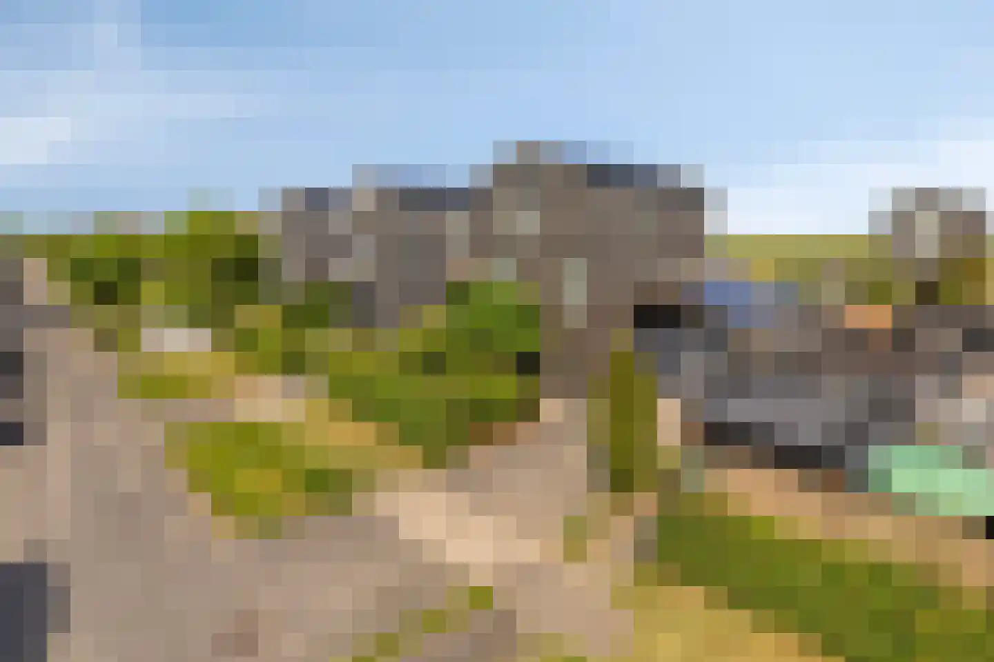 Binnenkruier 40 Stompetoren thumbnail 37