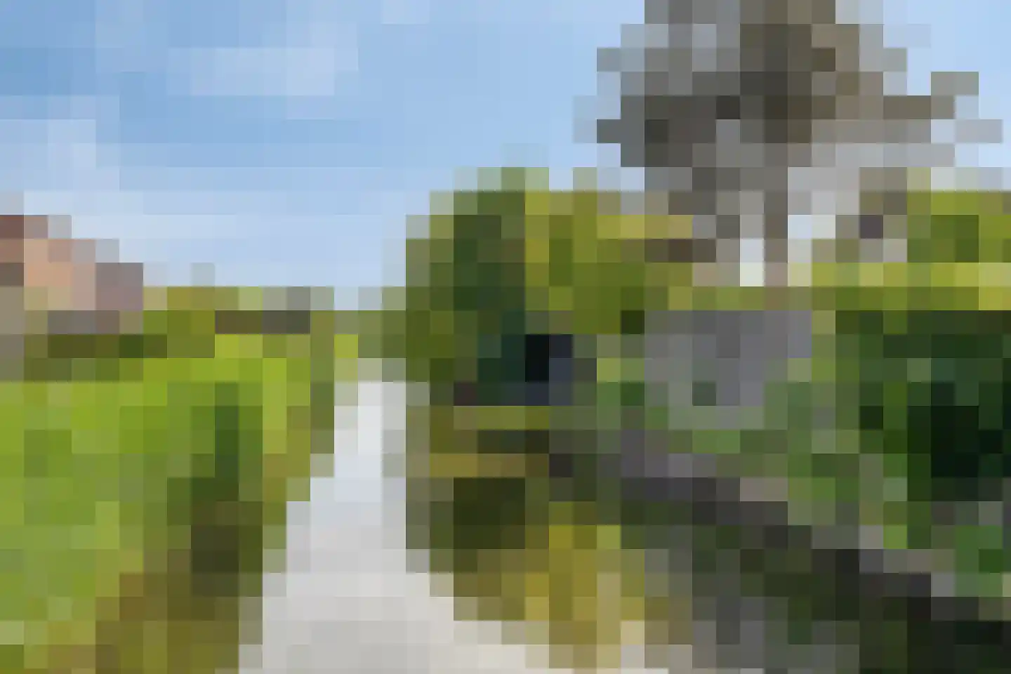 Binnenkruier 40 Stompetoren thumbnail 40