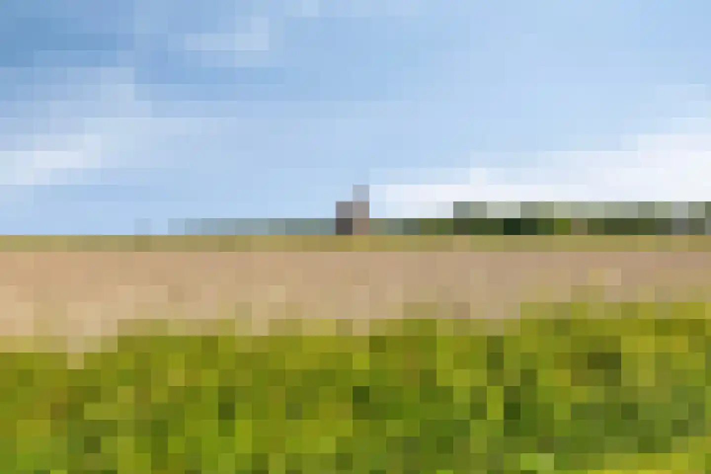 Binnenkruier 40 Stompetoren thumbnail 41