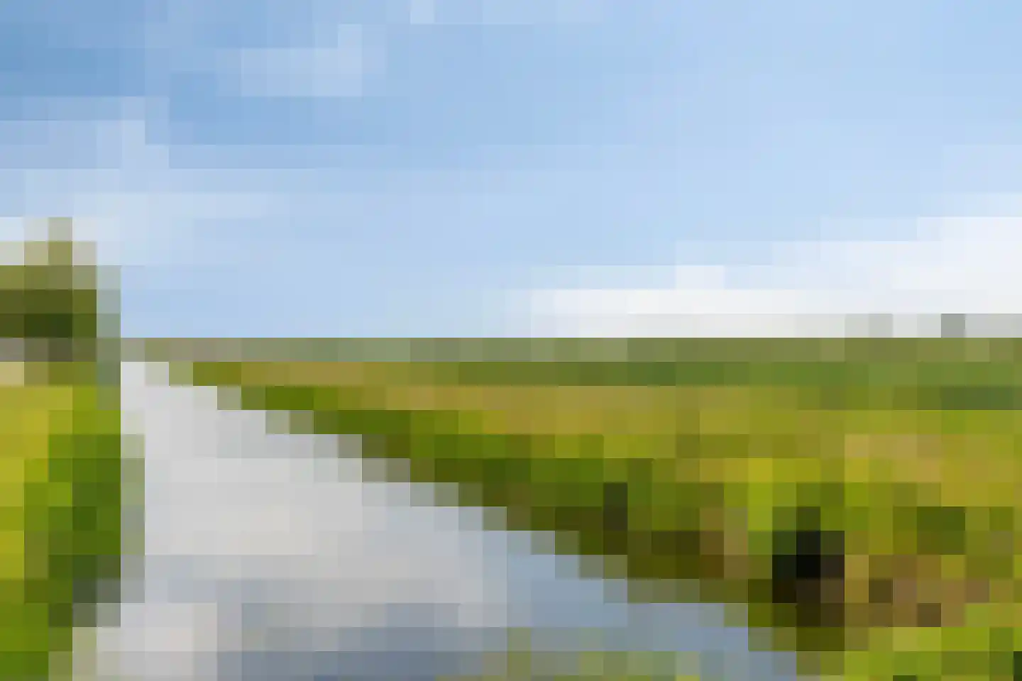 Binnenkruier 40 Stompetoren thumbnail 42
