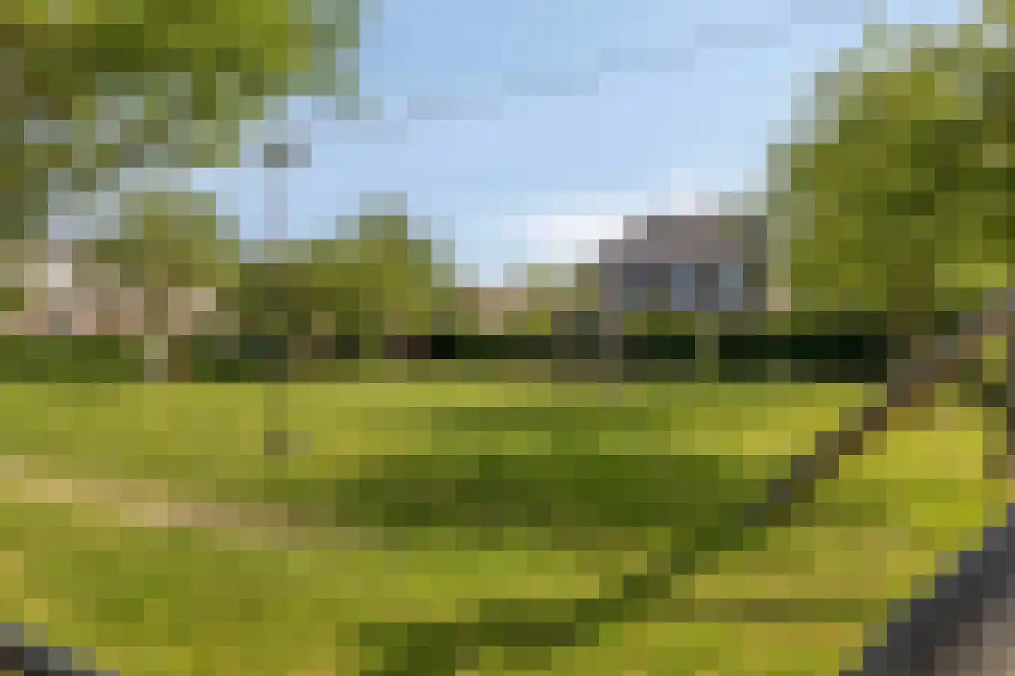 Binnenkruier 40 Stompetoren thumbnail 43
