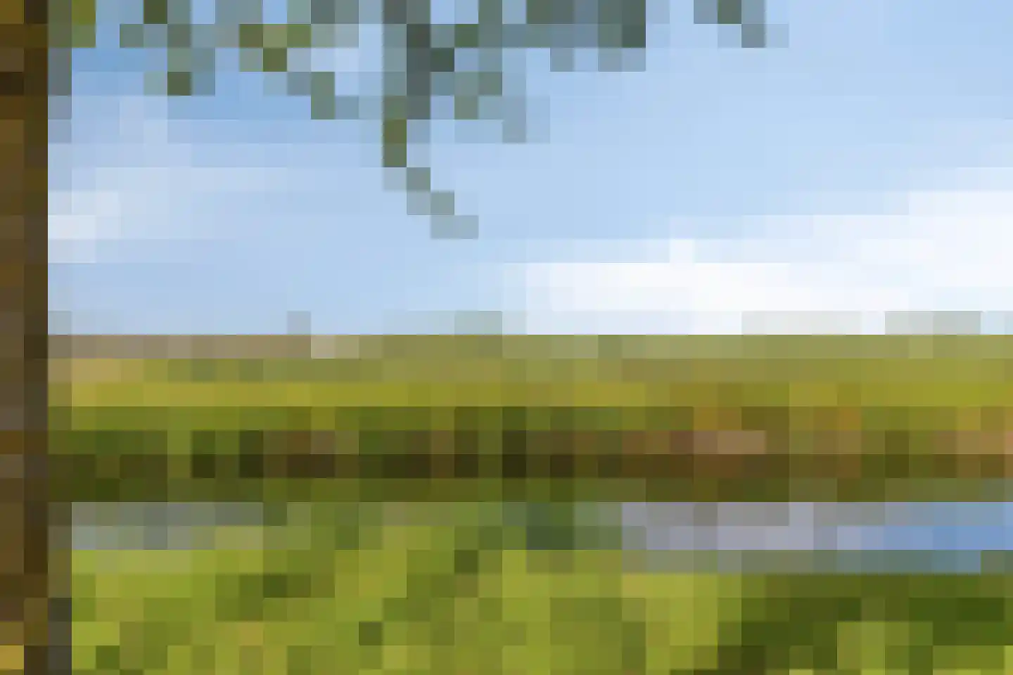 Binnenkruier 40 Stompetoren thumbnail 44