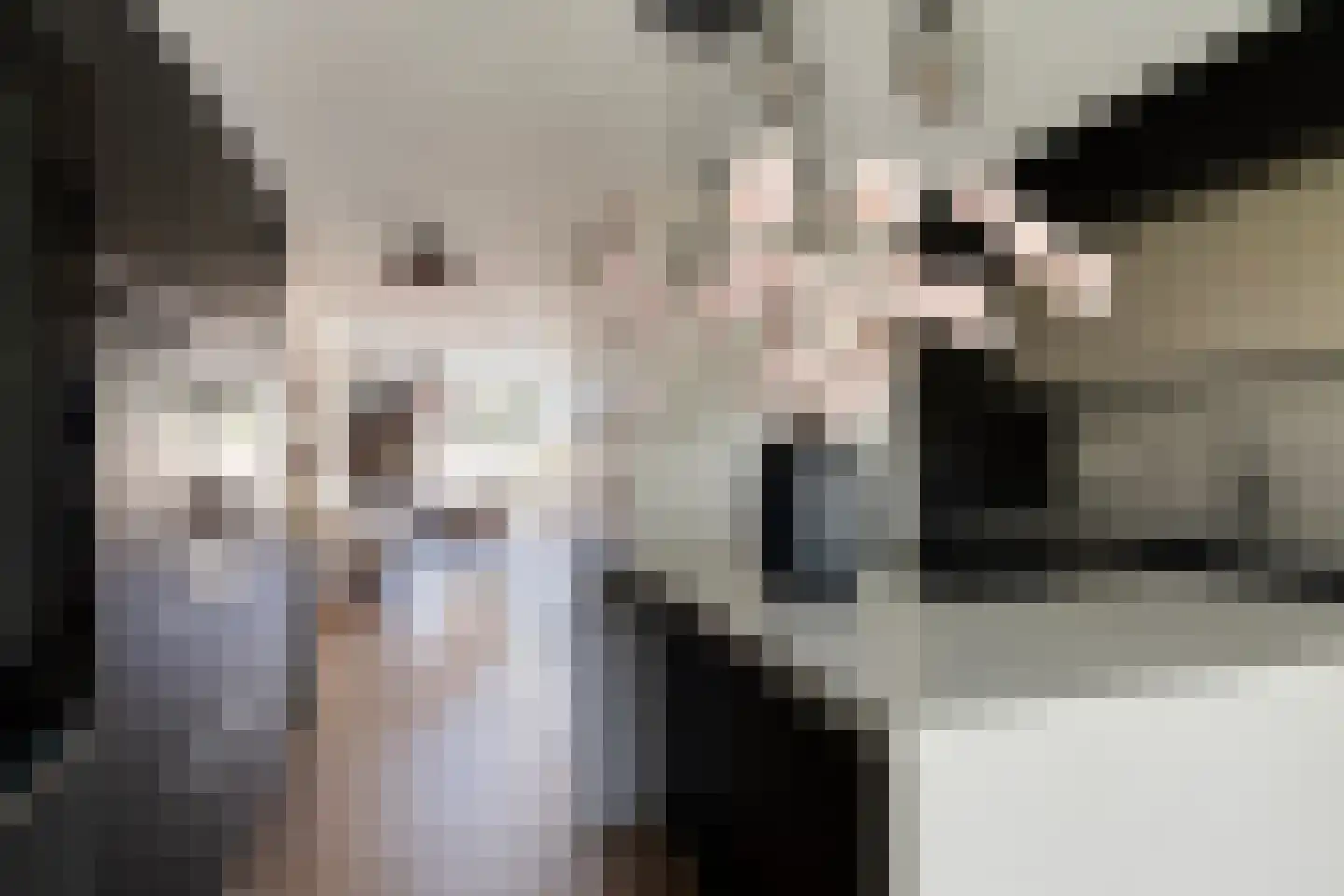 Binnenkruier 40 Stompetoren thumbnail 8