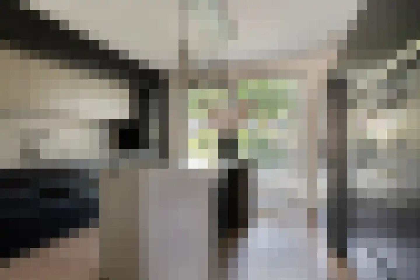 Binnenkruier 40 Stompetoren thumbnail 9