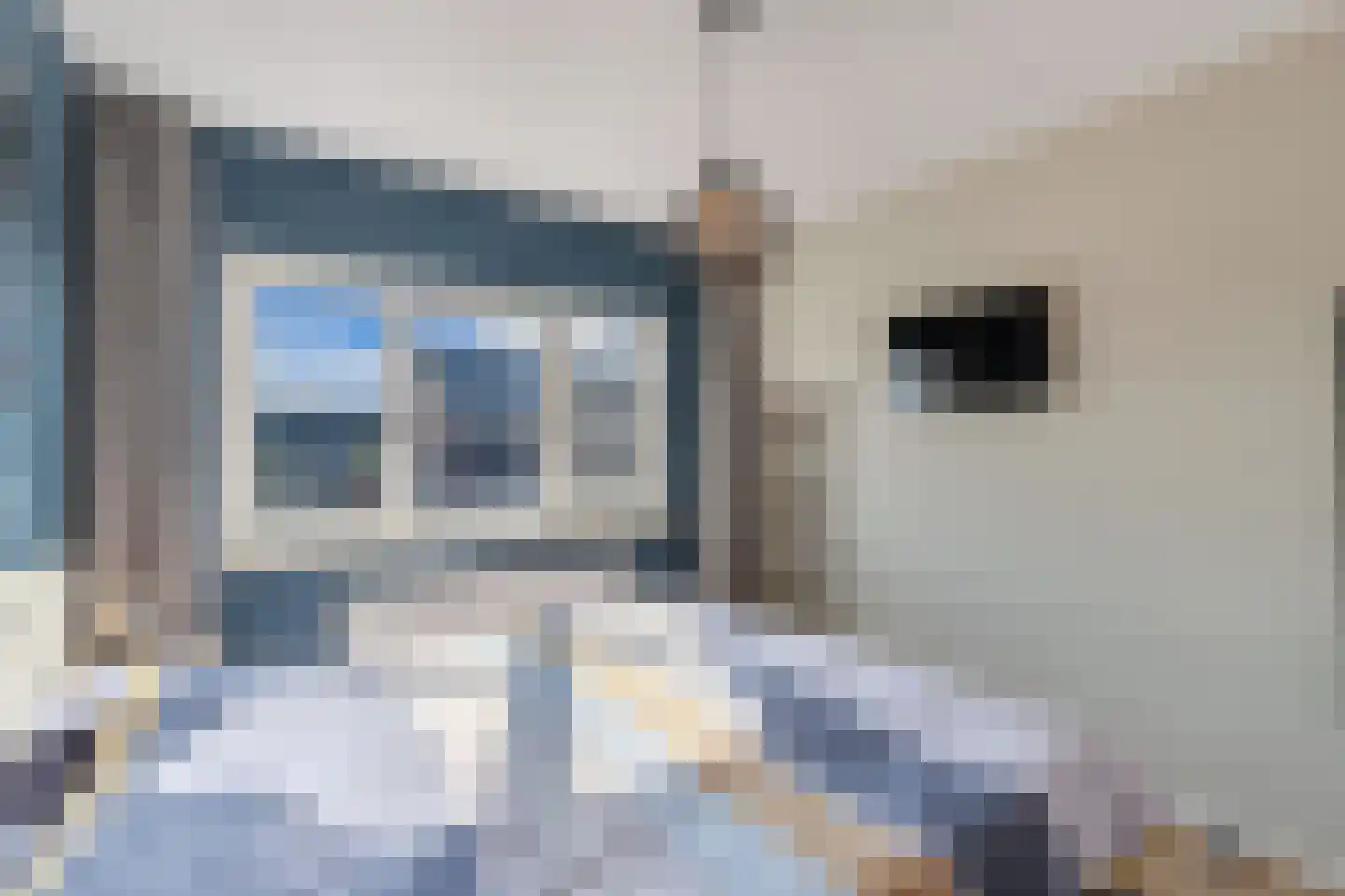 Binnenkruier 9 Espel thumbnail 16
