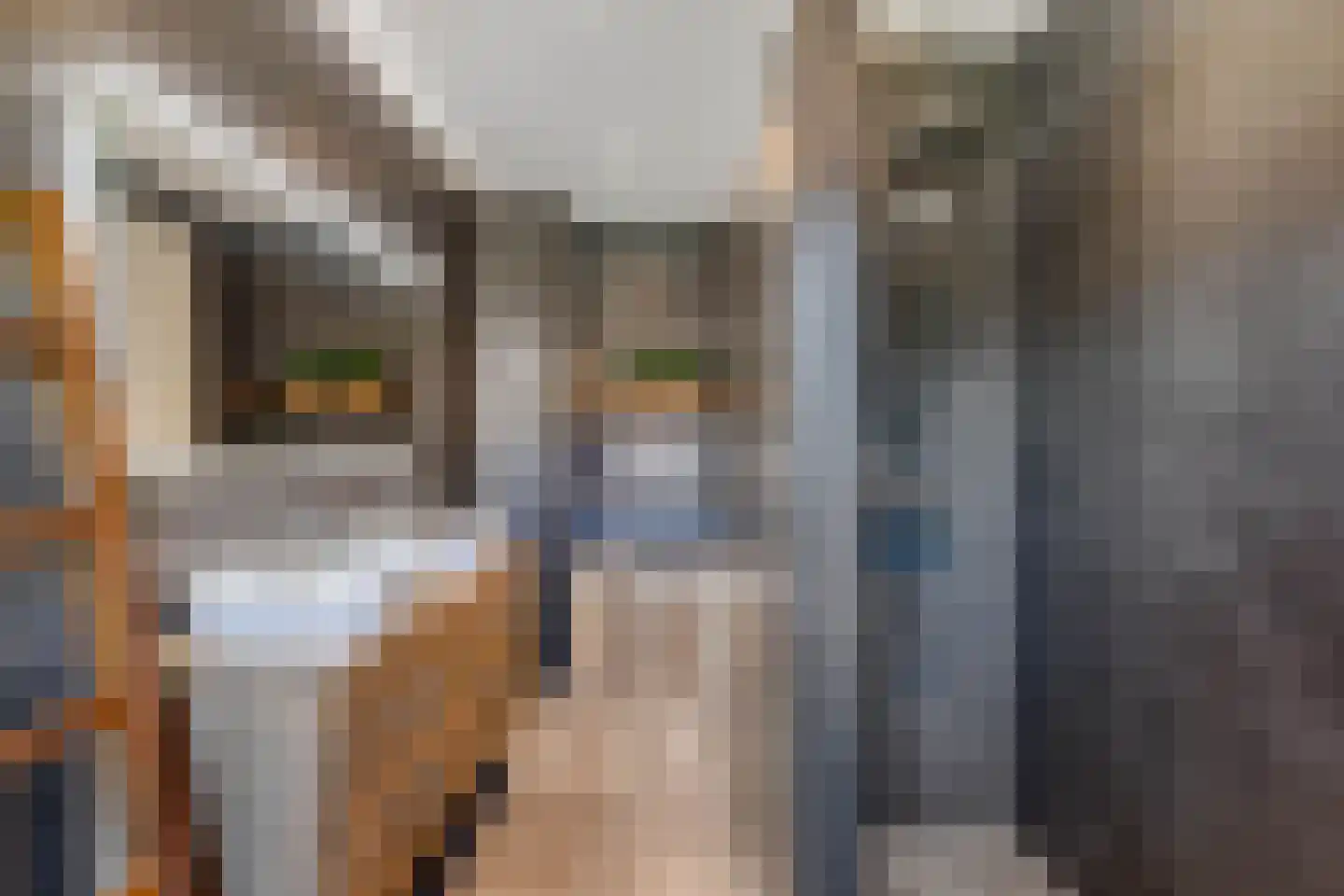 Binnenkruier 9 Espel thumbnail 25