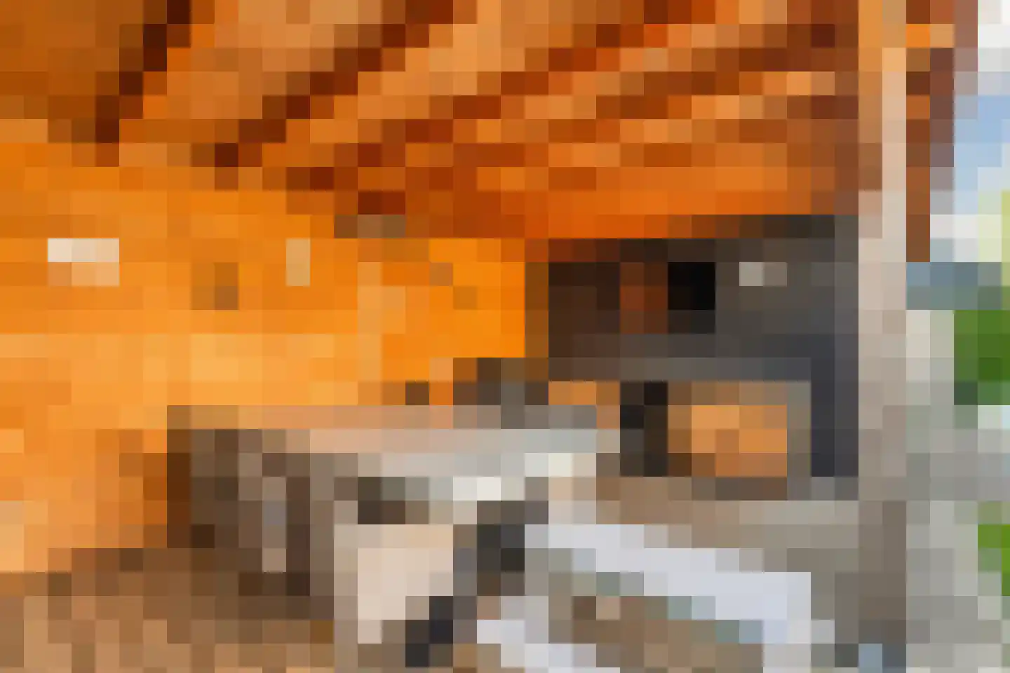 Binnenkruier 9 Espel thumbnail 36