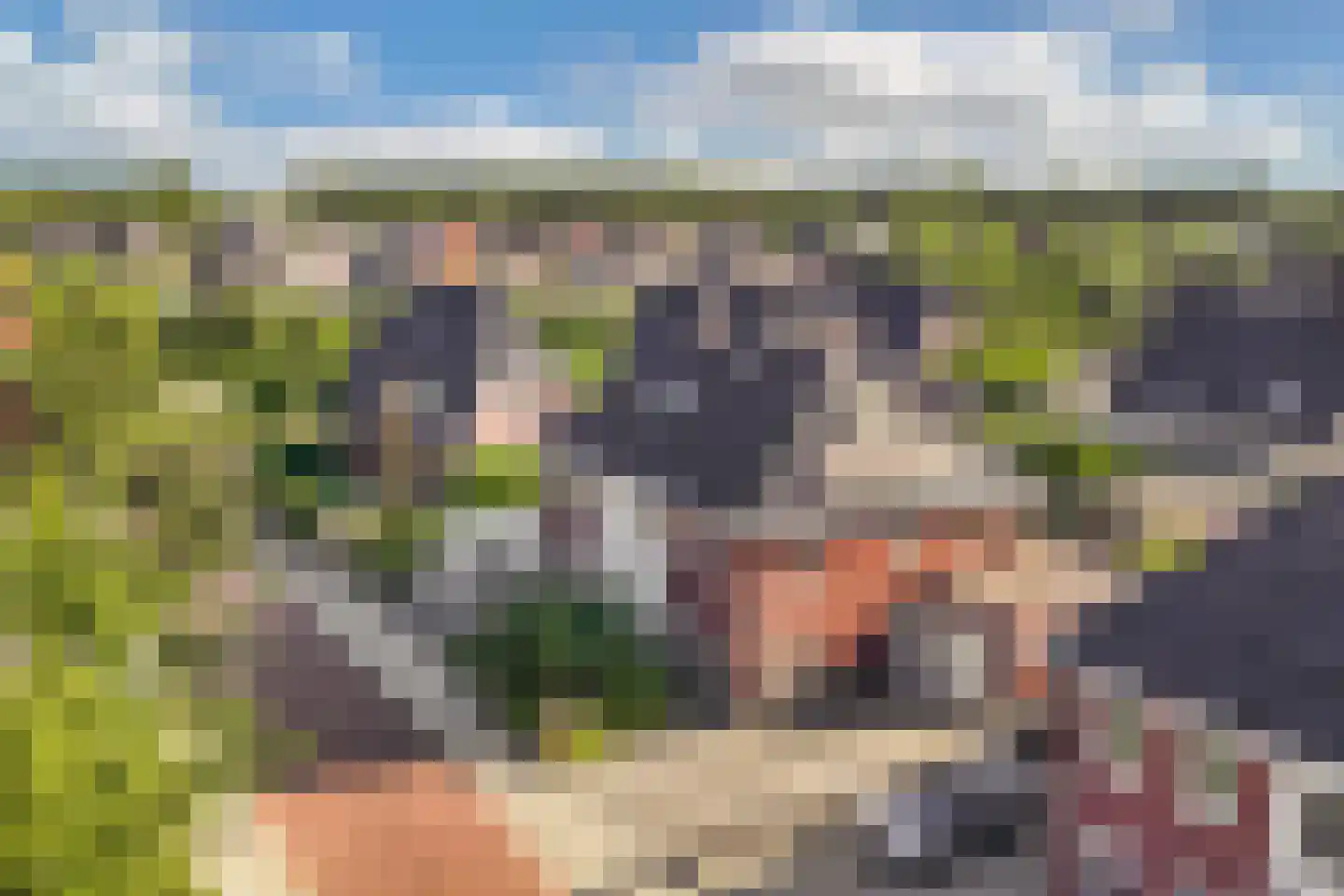 Binnenkruier 9 Espel thumbnail 43