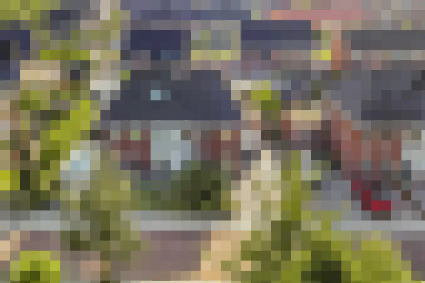 Binnenkruier 9 Espel thumbnail 44