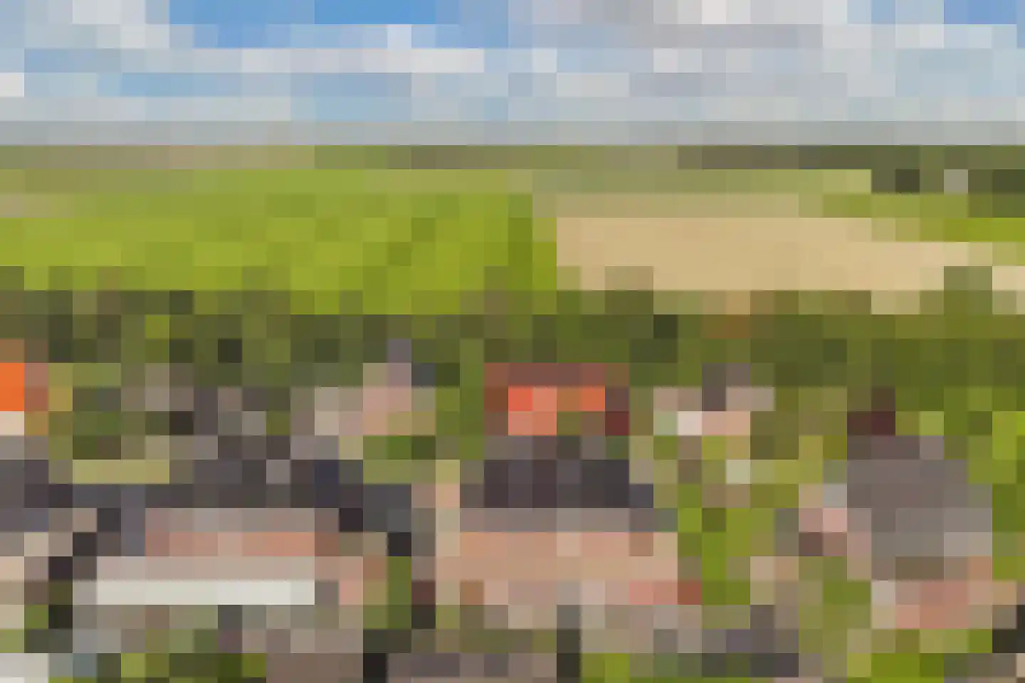 Binnenkruier 9 Espel thumbnail 45