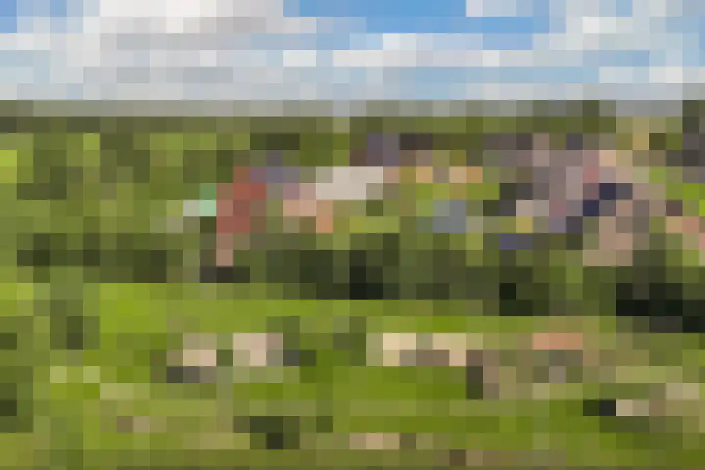 Binnenkruier 9 Espel thumbnail 46