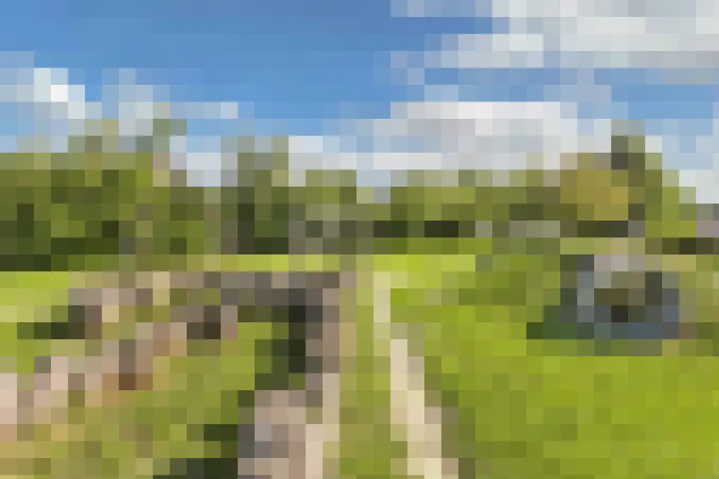 Binnenkruier 9 Espel thumbnail 47