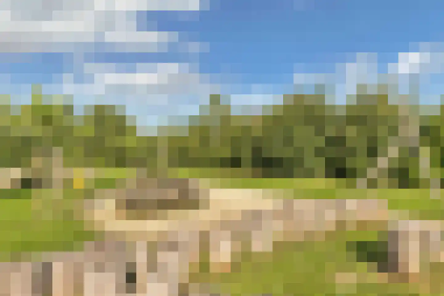 Binnenkruier 9 Espel thumbnail 48