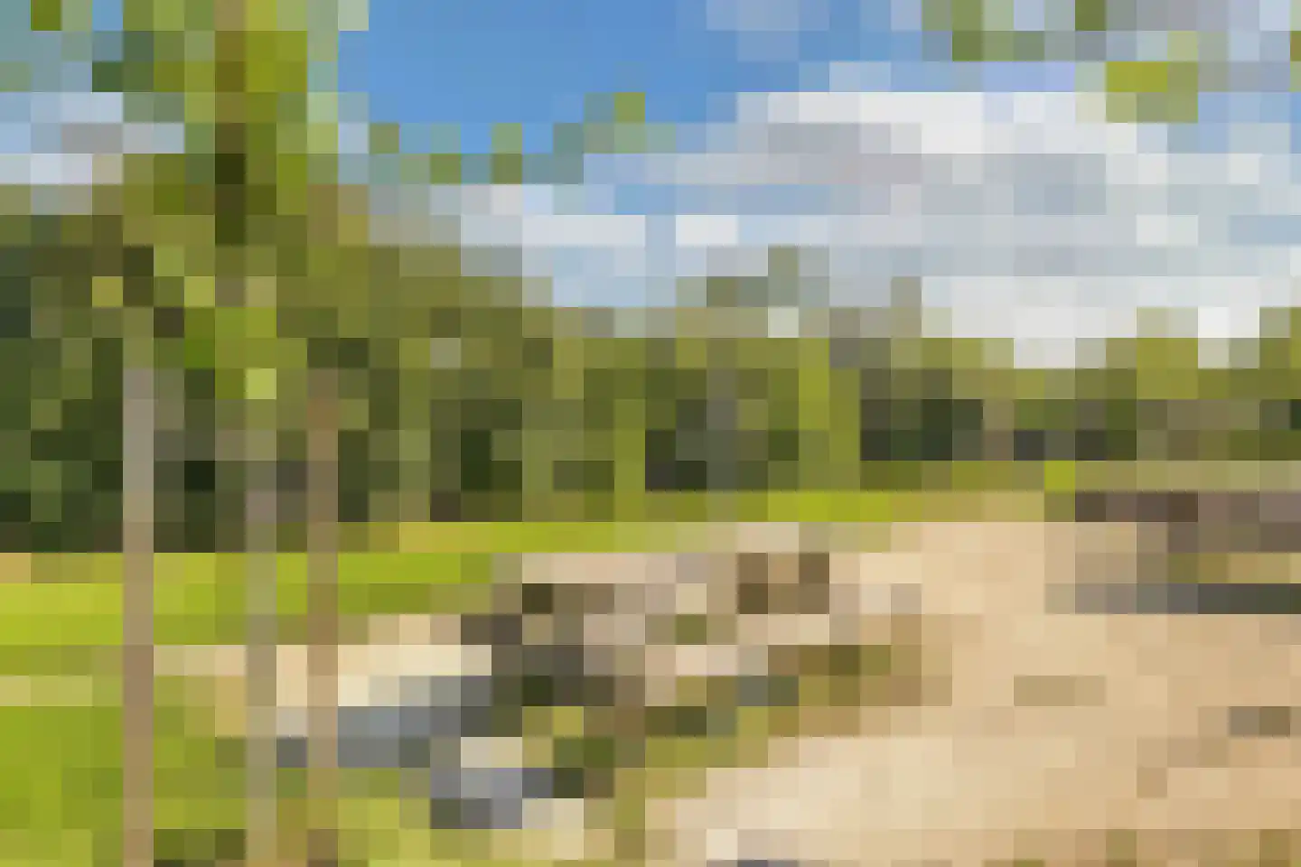 Binnenkruier 9 Espel thumbnail 49