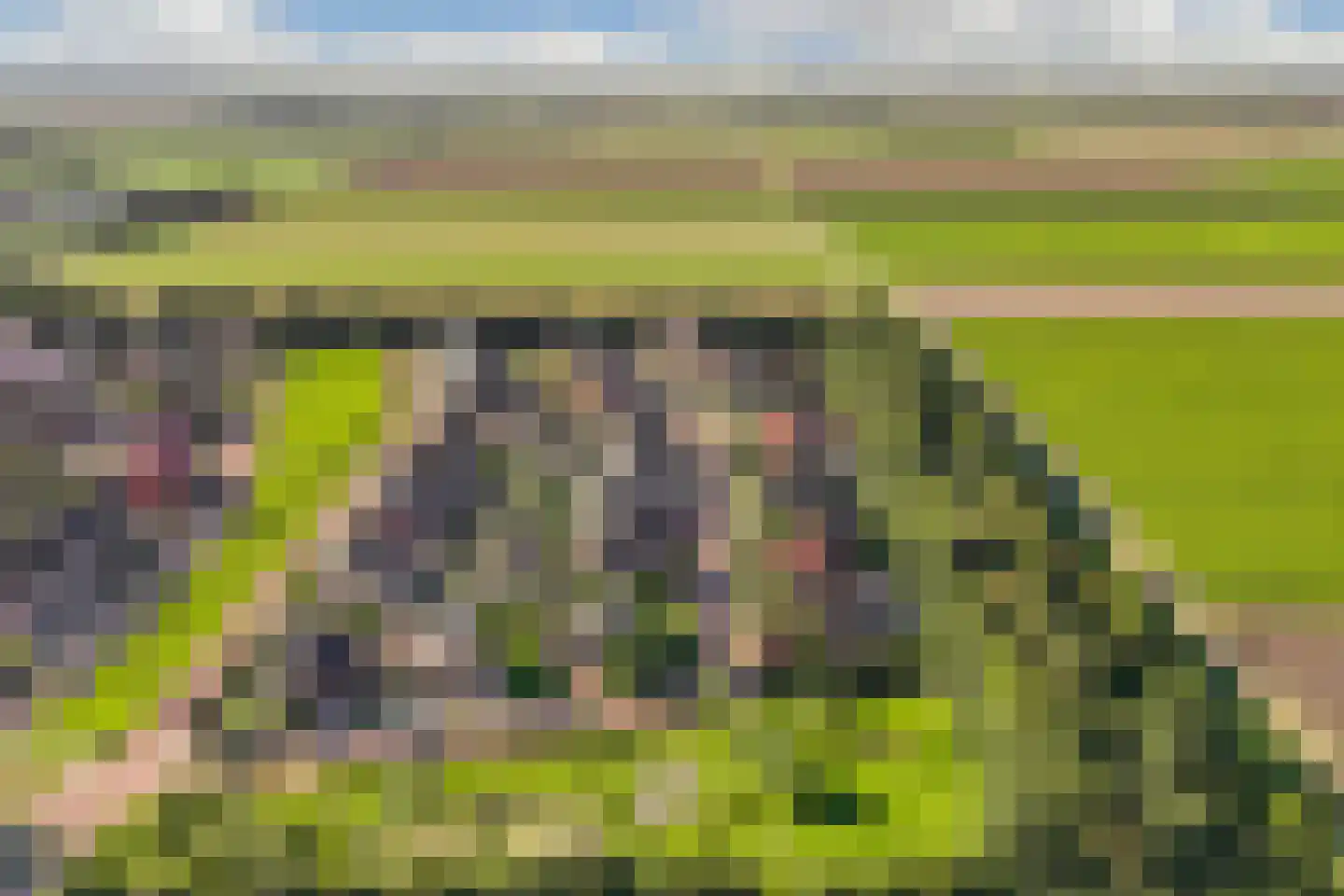 Binnenkruier 9 Espel thumbnail 50