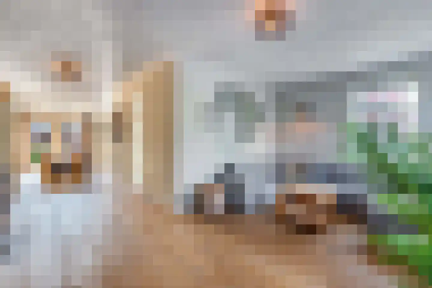 Binnenkruier 9 Espel thumbnail 6