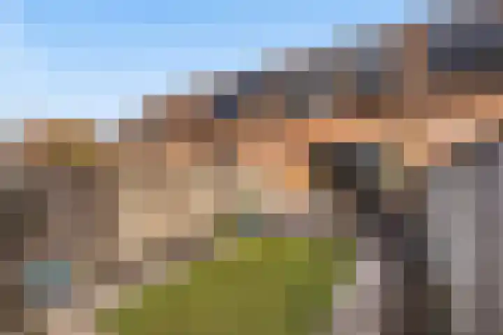 Binnenkruier 9 Puttershoek thumbnail 41