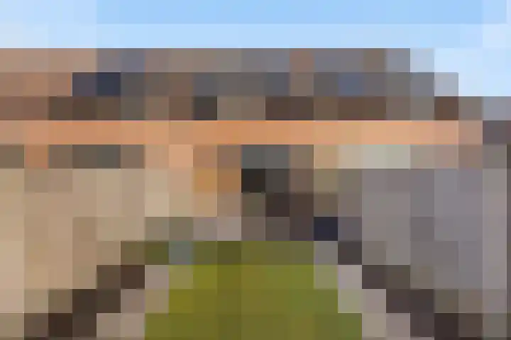 Binnenkruier 9 Puttershoek thumbnail 42