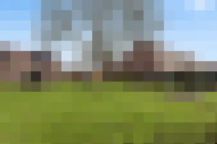 Binnenkruier 9 Puttershoek thumbnail 44