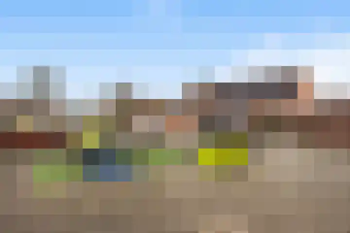 Binnenkruier 9 Puttershoek thumbnail 45