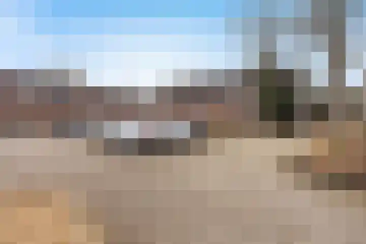 Binnenkruier 9 Puttershoek thumbnail 47