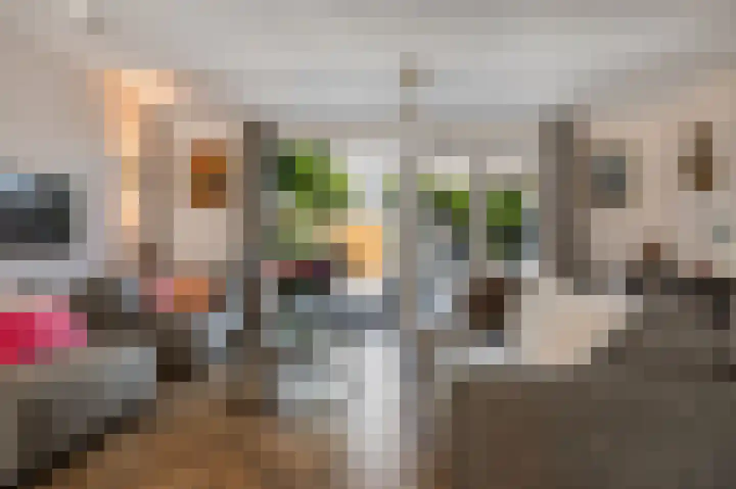 Binnenkruier 92 Stompetoren thumbnail 11