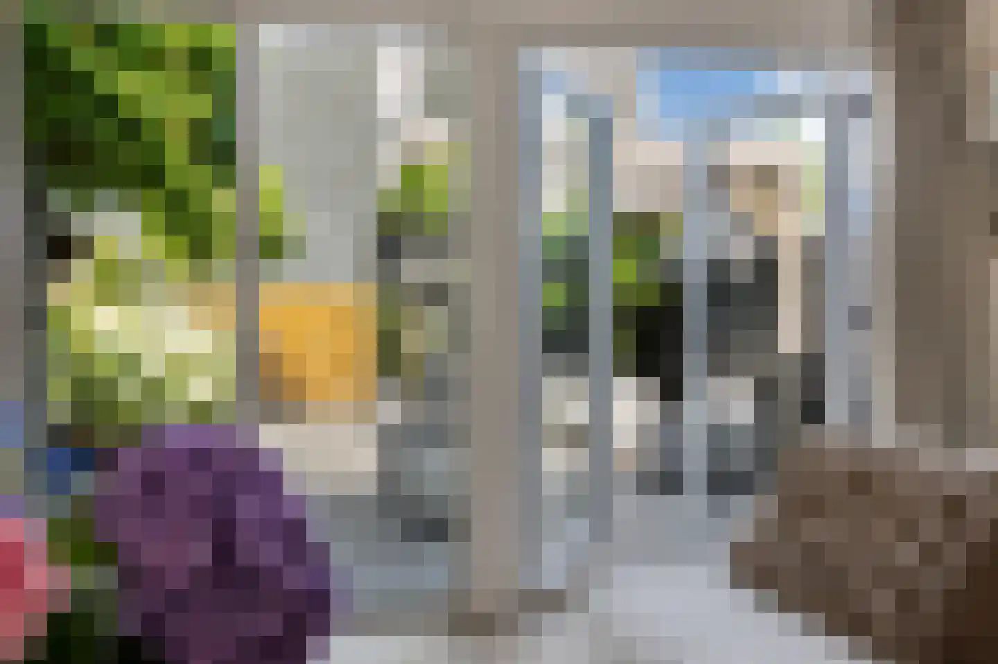 Binnenkruier 92 Stompetoren thumbnail 13
