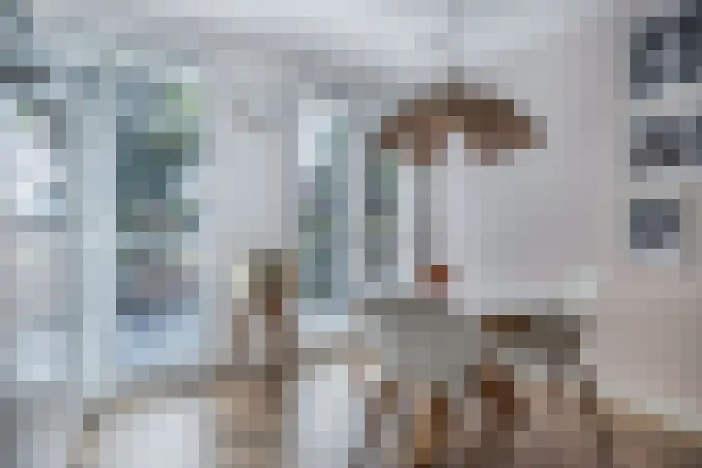Binnenkruier 92 Stompetoren thumbnail 19
