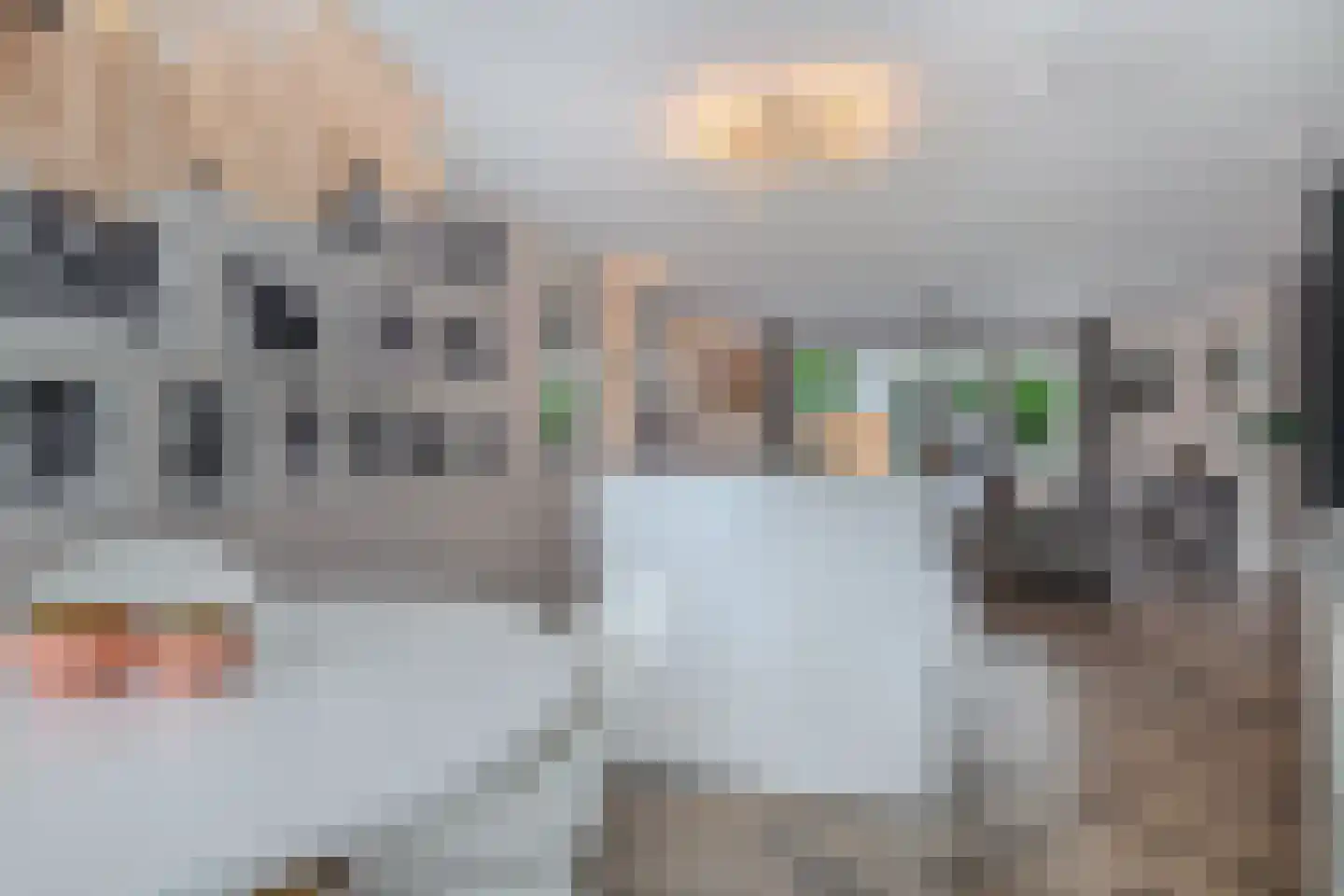 Binnenkruier 92 Stompetoren thumbnail 20