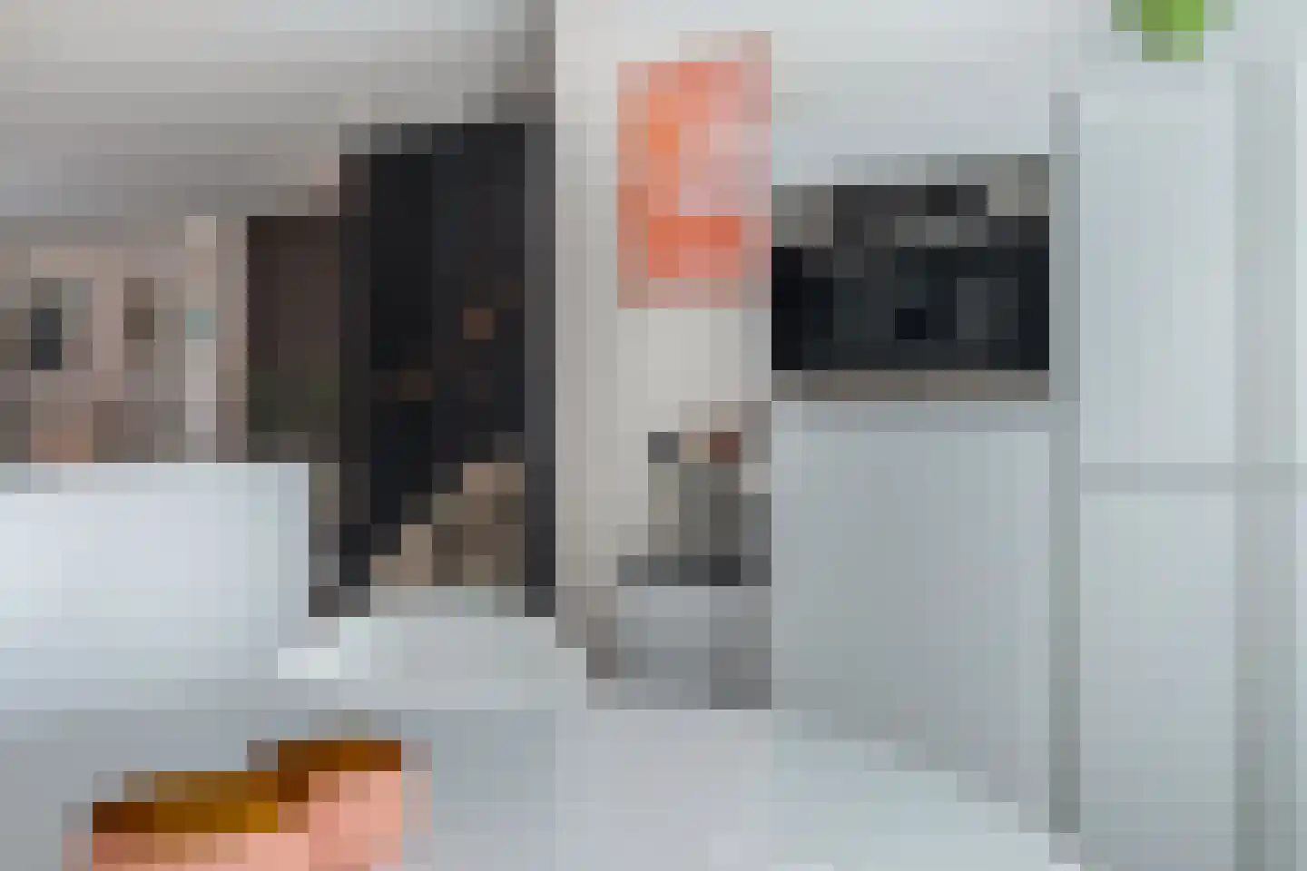 Binnenkruier 92 Stompetoren thumbnail 21