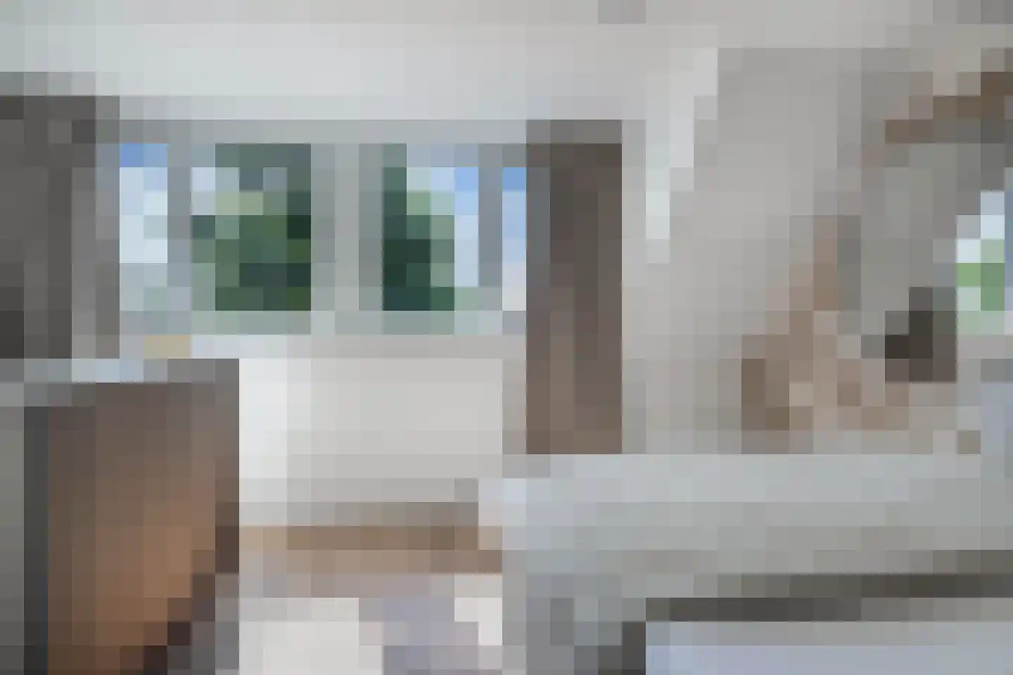 Binnenkruier 92 Stompetoren thumbnail 26