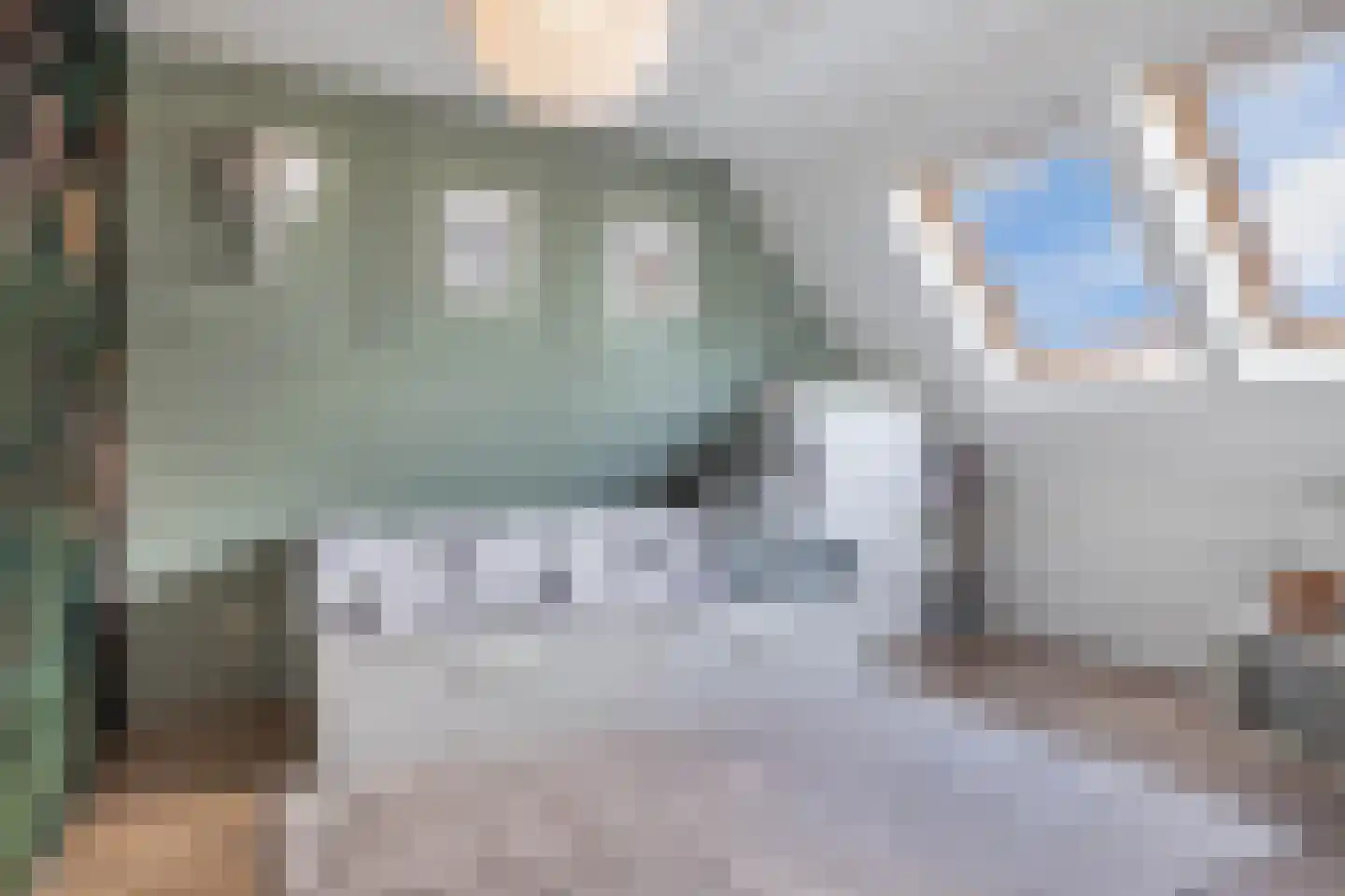 Binnenkruier 92 Stompetoren thumbnail 31