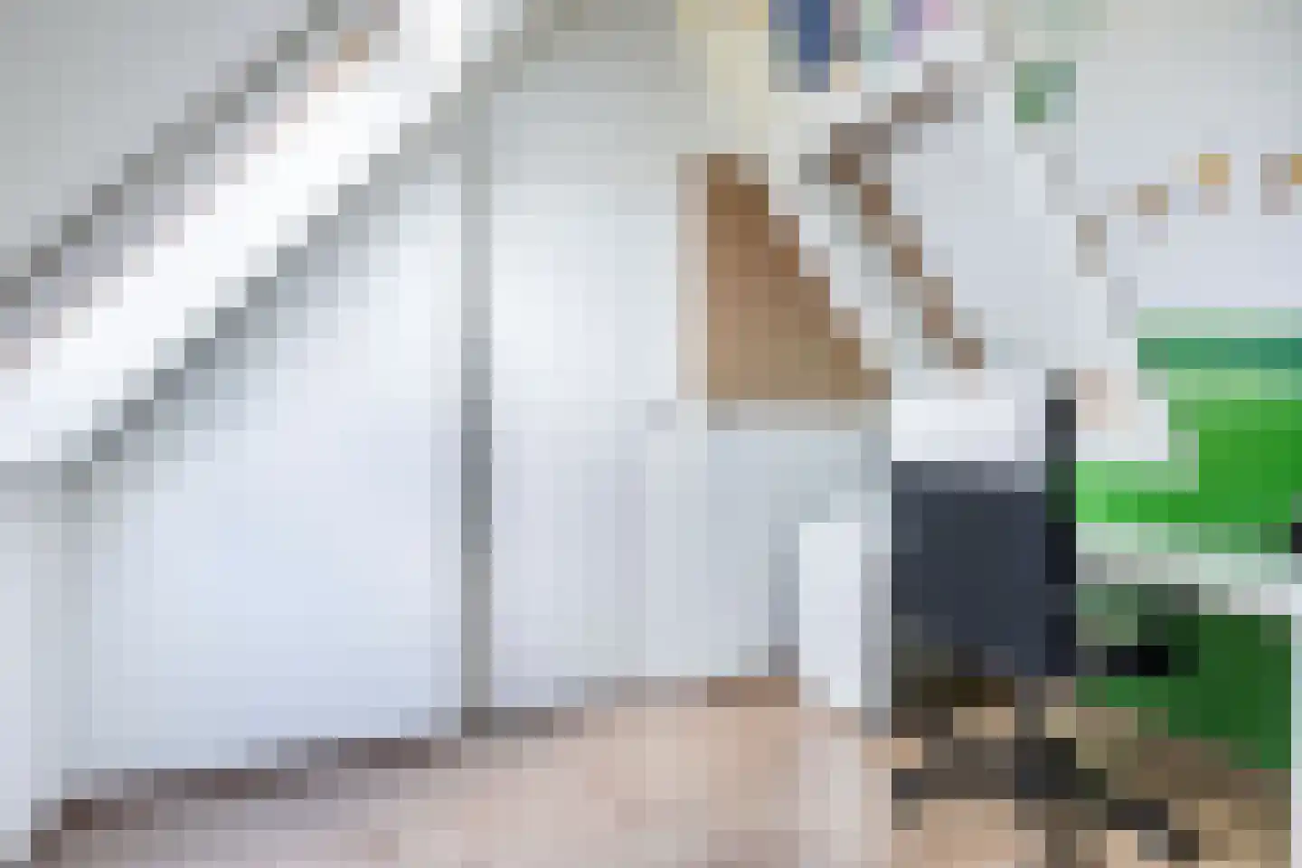 Binnenkruier 92 Stompetoren thumbnail 38