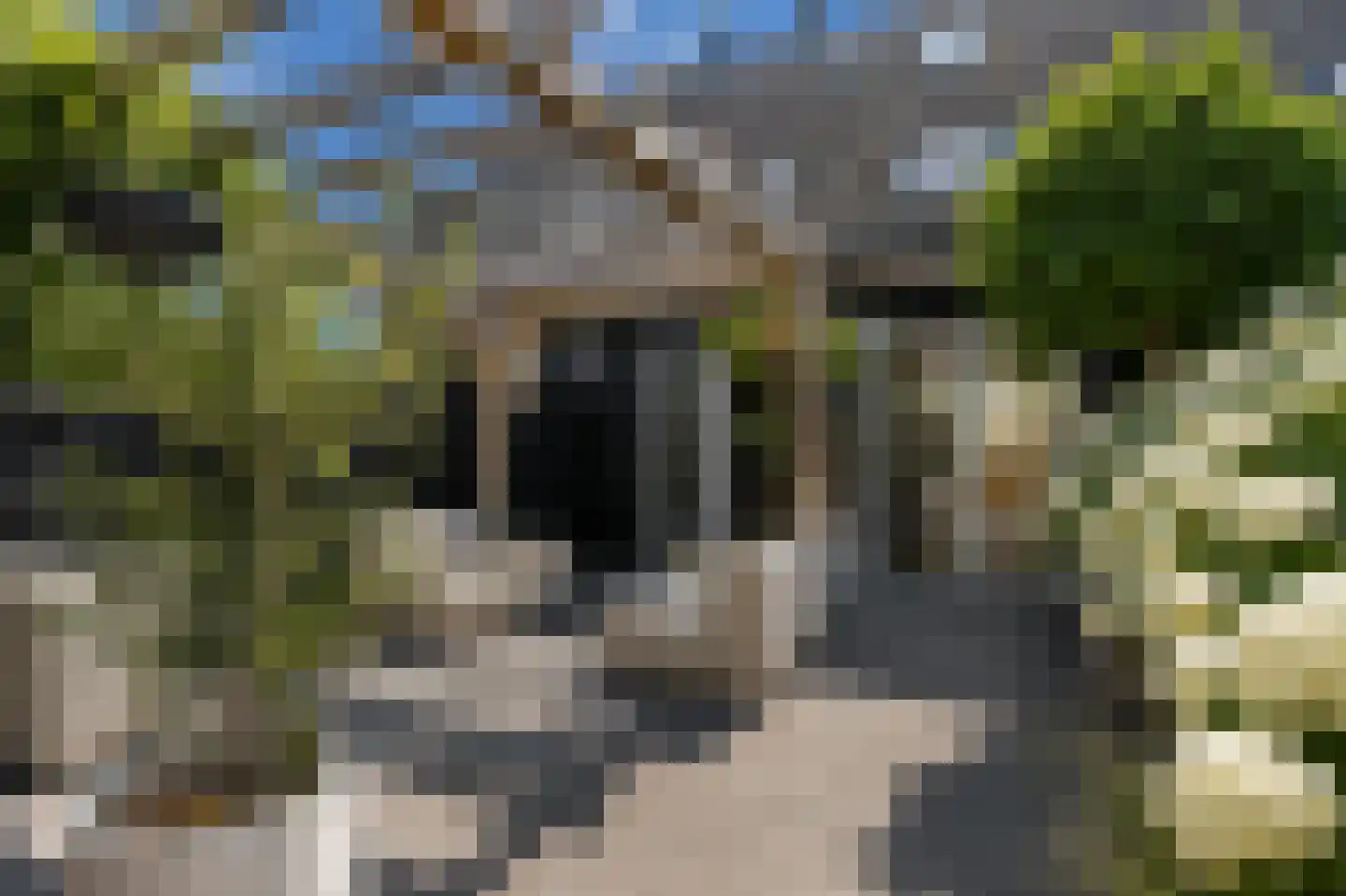 Binnenkruier 92 Stompetoren thumbnail 4