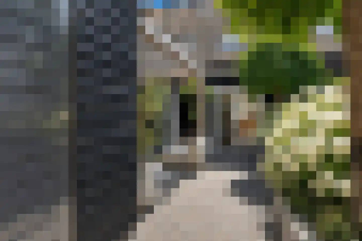 Binnenkruier 92 Stompetoren thumbnail 42