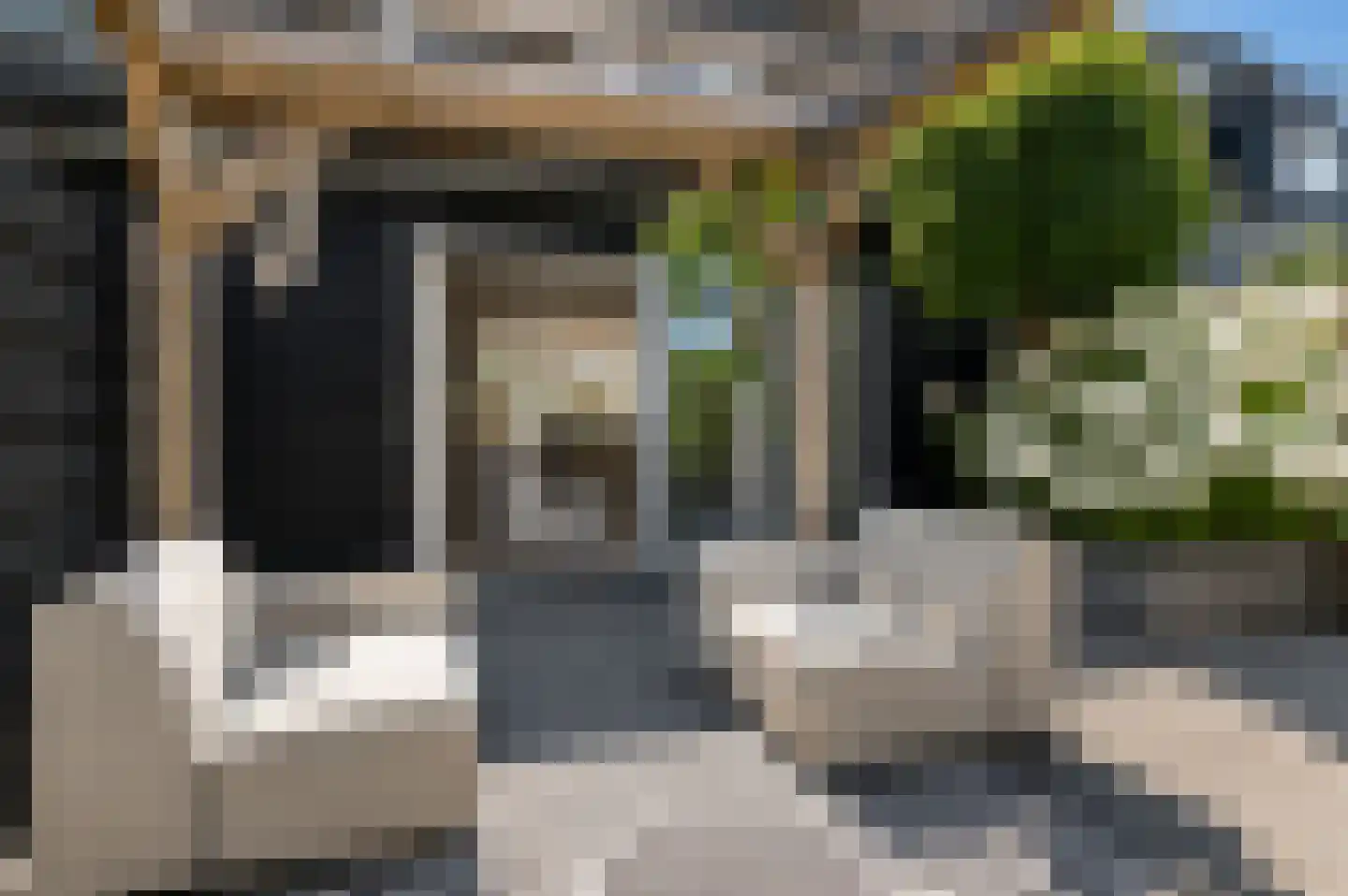 Binnenkruier 92 Stompetoren thumbnail 43