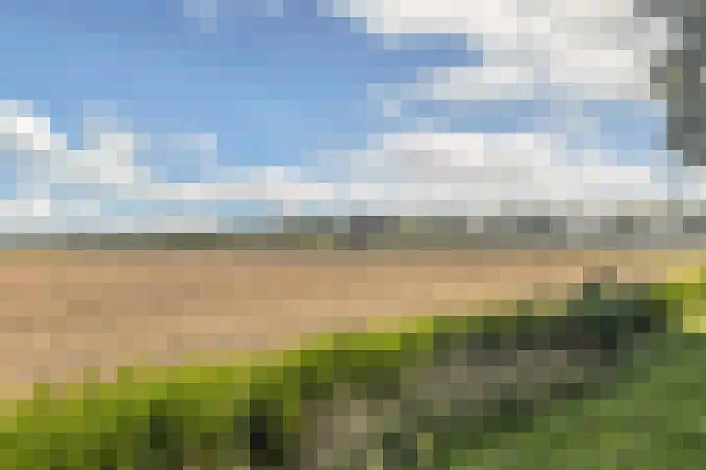Binnenkruier 92 Stompetoren thumbnail 44
