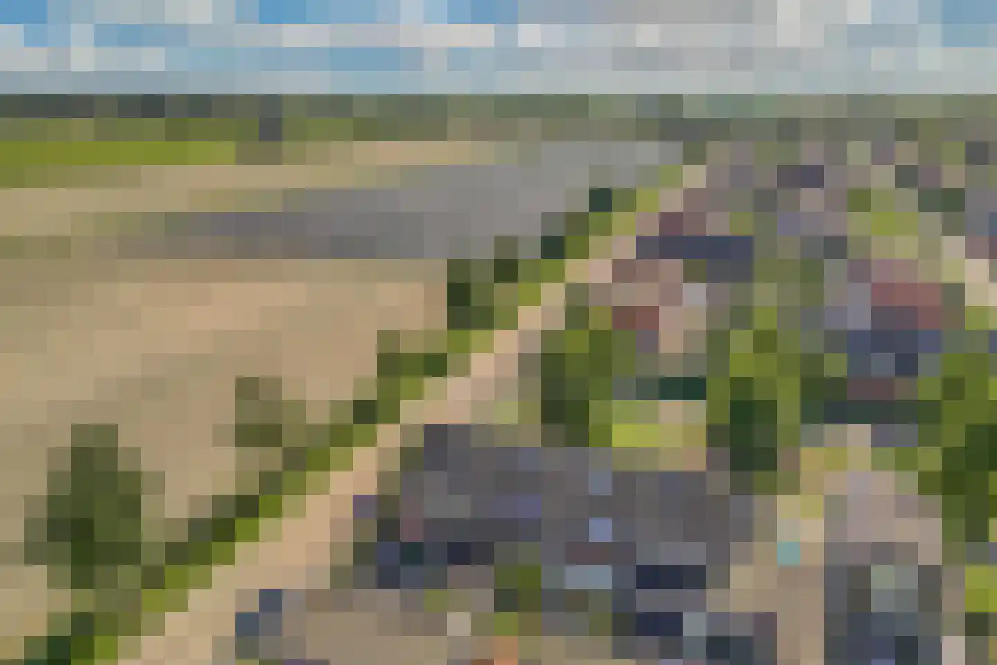 Binnenkruier 92 Stompetoren thumbnail 45