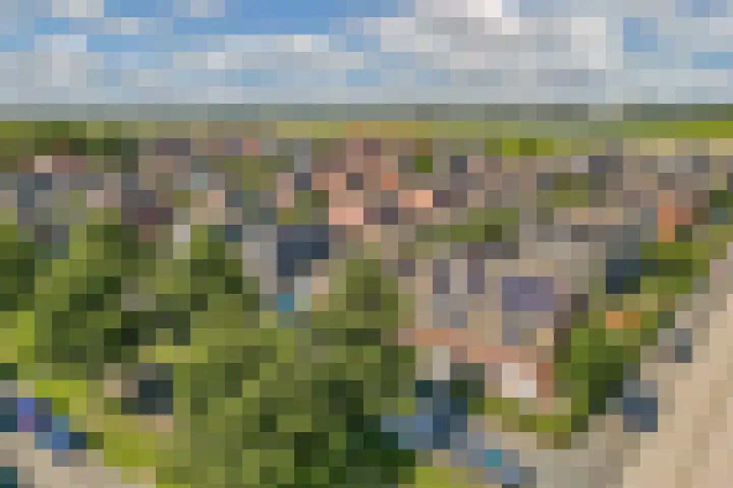 Binnenkruier 92 Stompetoren thumbnail 46