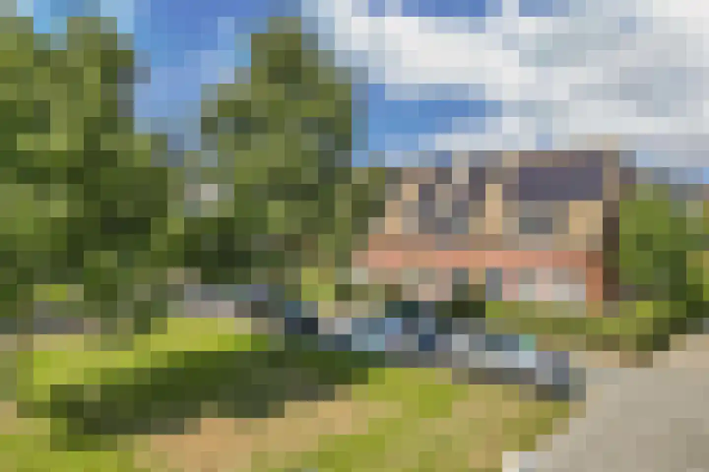 Binnenkruier 92 Stompetoren thumbnail 47