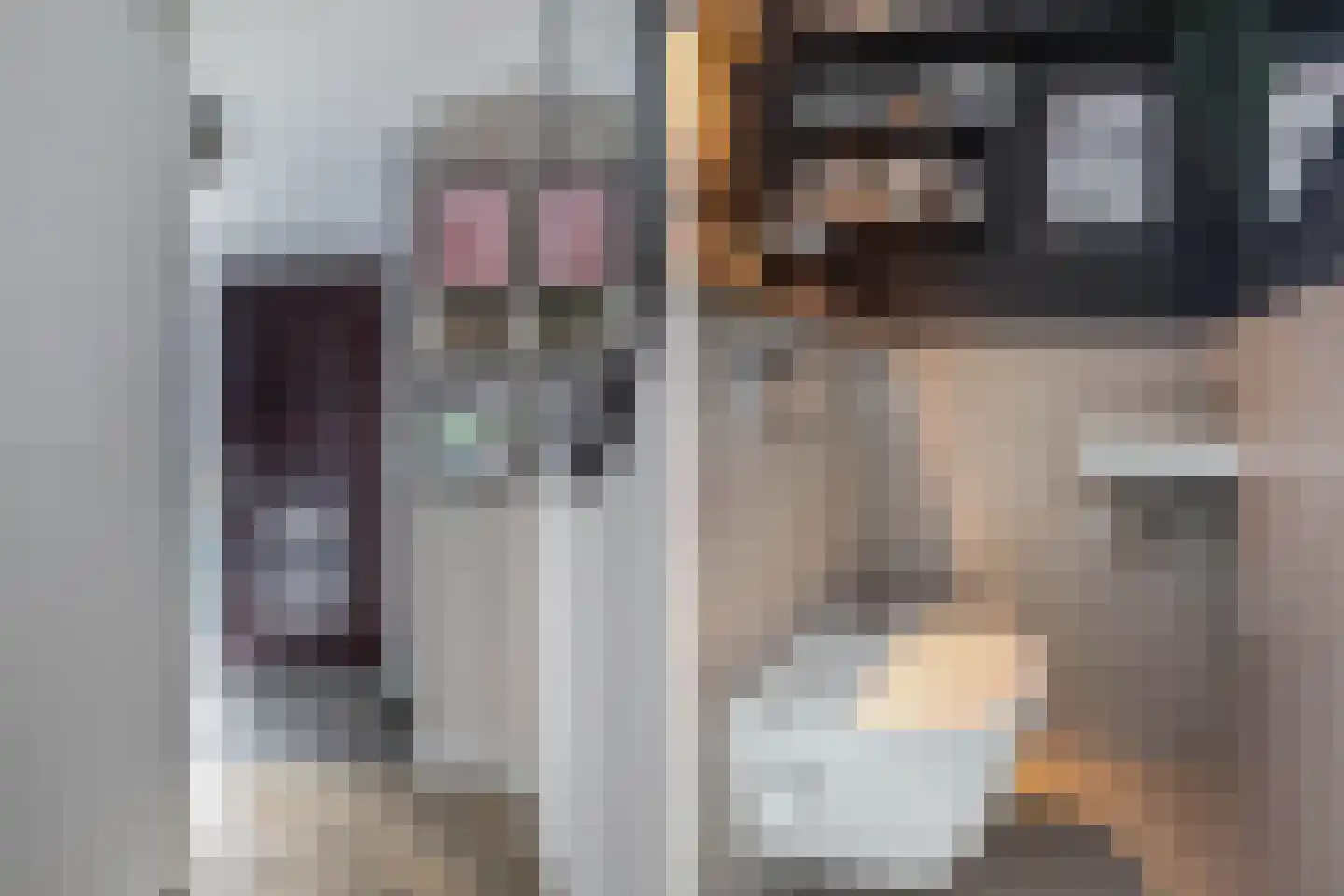 Binnenkruier 92 Stompetoren thumbnail 8