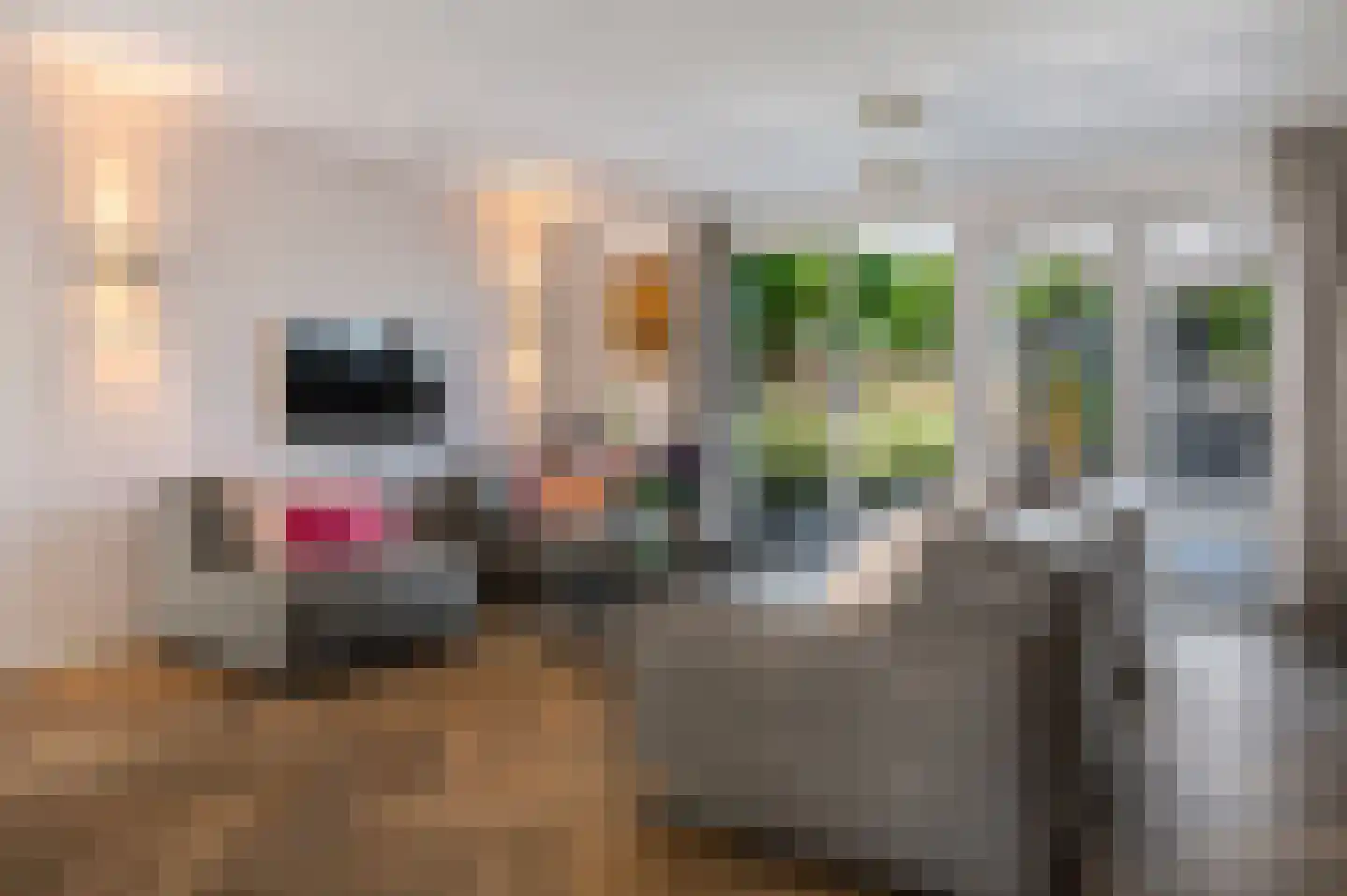 Binnenkruier 92 Stompetoren thumbnail 9